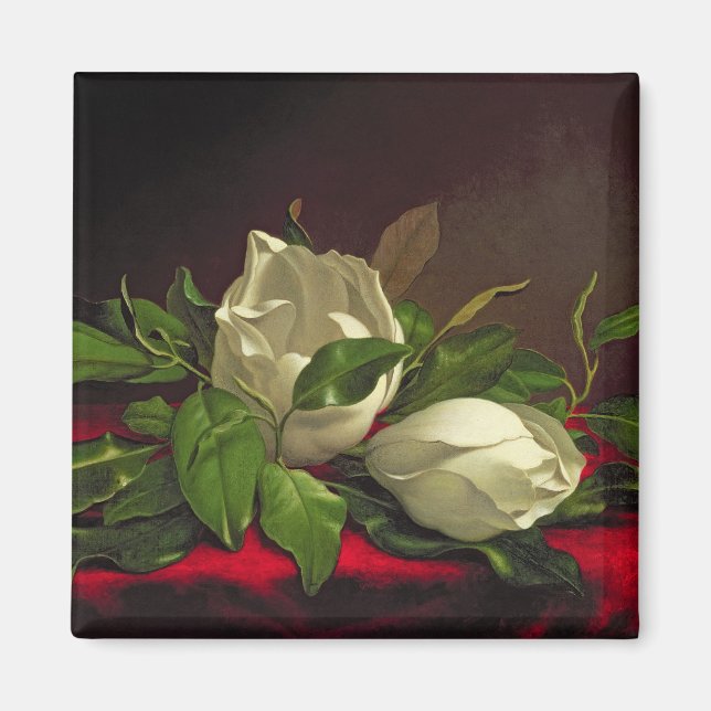 Magnolia Magnet (Framsidan)
