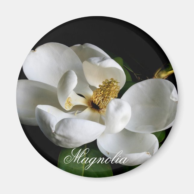 Magnolia Magnet (Framsidan)