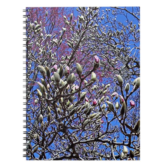 Magnolia, massa av Buds Anteckningsbok Med Spiral (Framsidan)