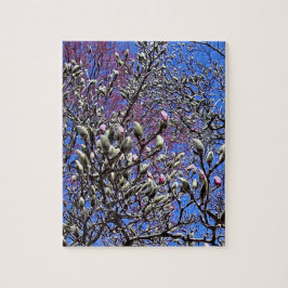 Magnolia, massa av Buds Pussel