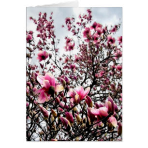 Magnolia Masses Hälsningskort