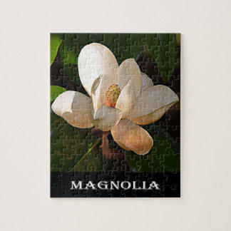 Magnolia (Mississippi och Louisiana) Pussel