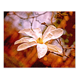 Magnolia Mood Fototryck
