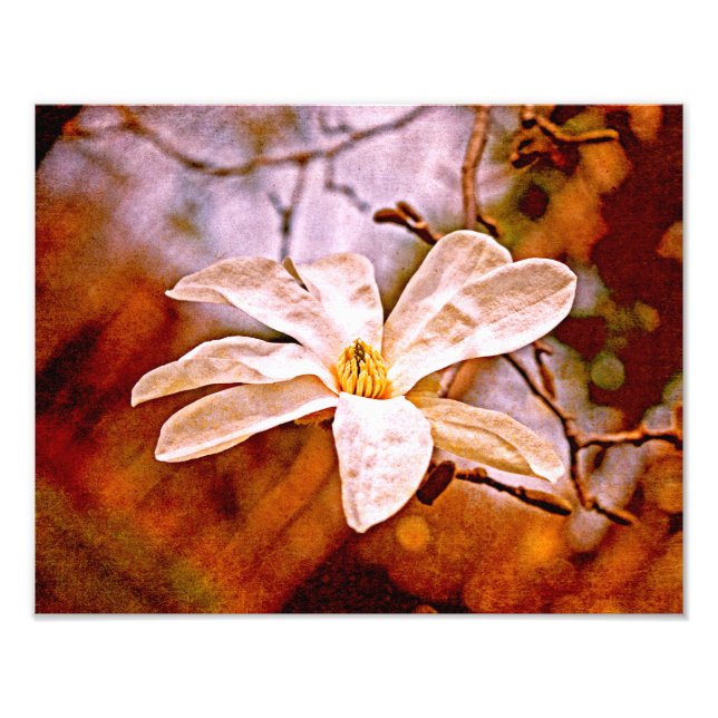 Magnolia Mood Fototryck (Framsidan)