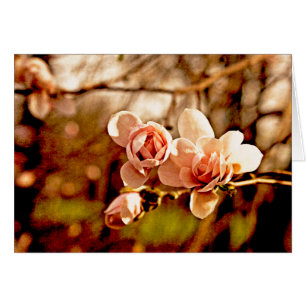 Magnolia Mood i Rosa OBS Kort