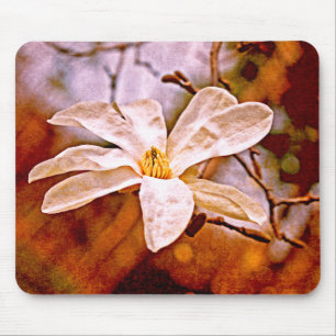 Magnolia Mood Musmatta
