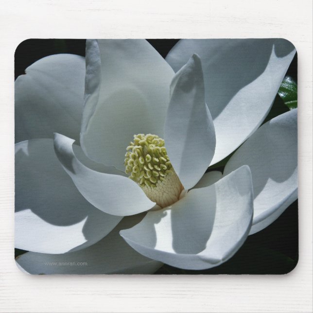 Magnolia Mousepad Musmatta (Framsidan)