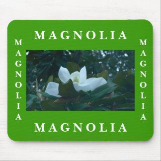Magnolia Musmatta