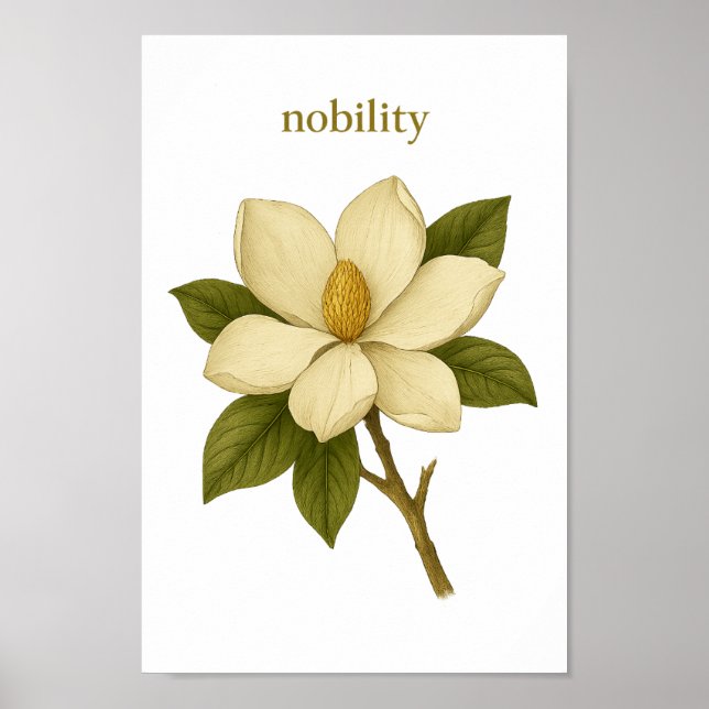 Magnolia - Nobility Poster (Framsidan)