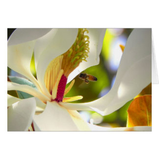 Magnolia- och honungsbiekort hälsningskort