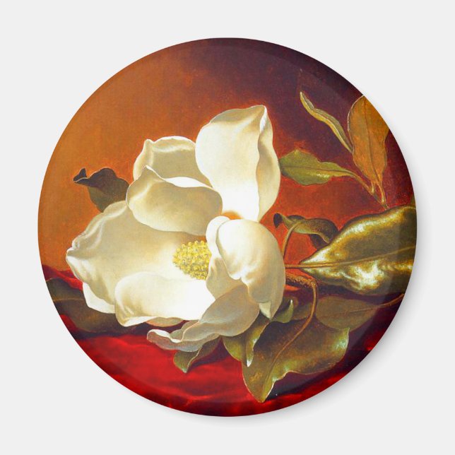 Magnolia on Red Velvet Martin Johnson Heade Magnet (Framsidan)