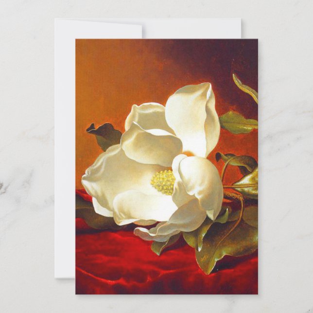 Magnolia on Red Velvet Martin Johnson Heade Meddelande (Framsida)