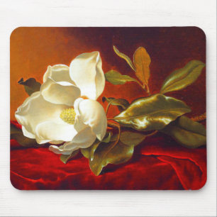 Magnolia on Red Velvet Martin Johnson Heade Musmatta