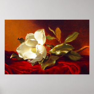 Magnolia on Red Velvet Martin Johnson Heade Poster