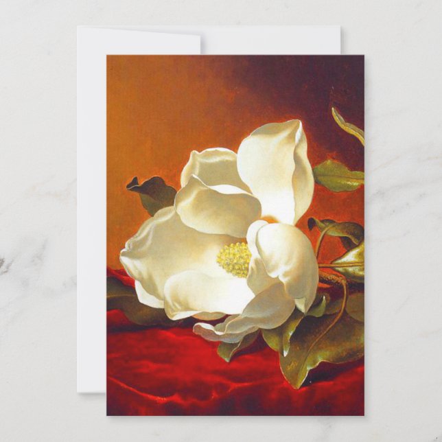 Magnolia on Red Velvet Martin Johnson Heade Spara Datumet (Framsida)