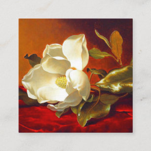 Magnolia on Red Velvet Martin Johnson Heade Tilläggskort