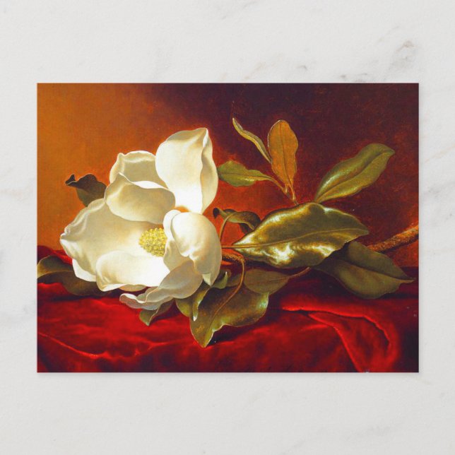 Magnolia on Red Velvet Martin Johnson Heade Vykort (Framsida)