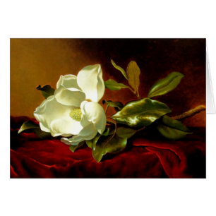 Magnolia på Red Velvet Hälsningskort
