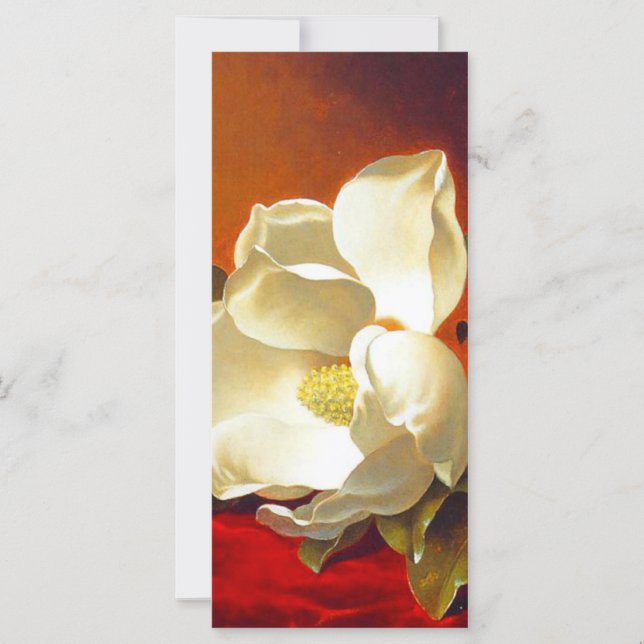 Magnolia på röd sammetsmartin Johnson Heade-kort (Framsida)