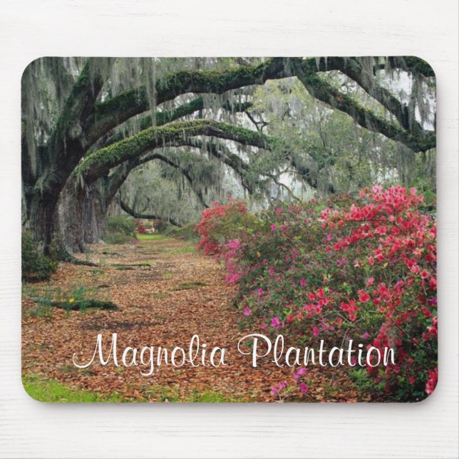 Magnolia Plantation/Charleston SC Mousepad Musmatta (Framsidan)
