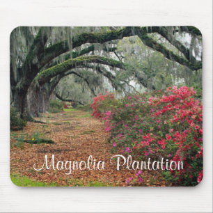 Magnolia Plantation/Charleston SC Mousepad Musmatta