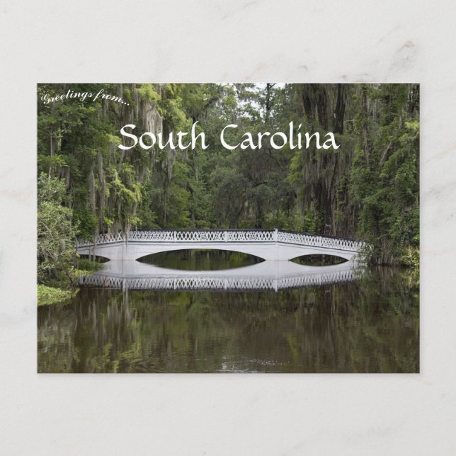 Magnolia Plantation Charleston South Carolina Vykort (Framsida)