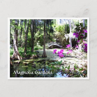 Magnolia Plantation Gardens Charleston SC Postkort Vykort