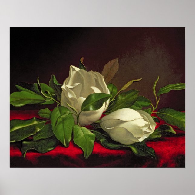 Magnolia Poster (Framsidan)