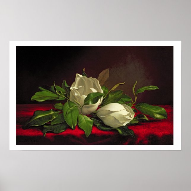 Magnolia Poster (Framsidan)