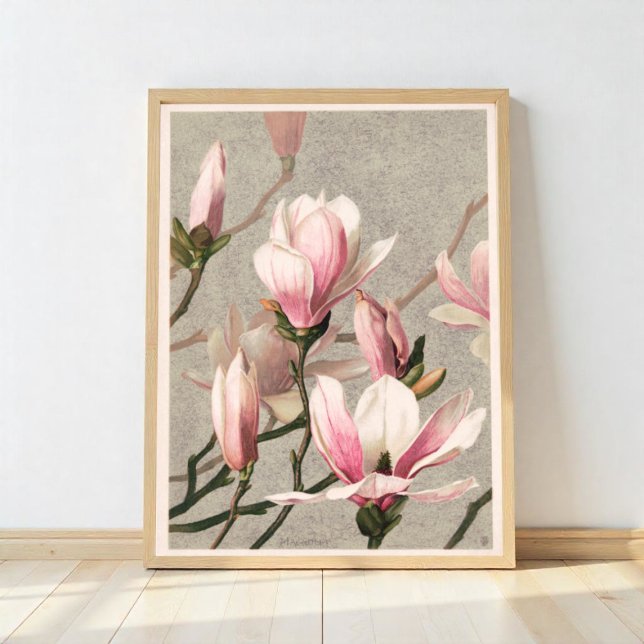 Magnolia Poster (Skapare uppladdad)