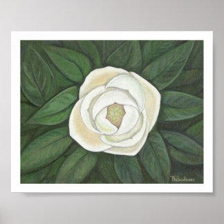 Magnolia print poster
