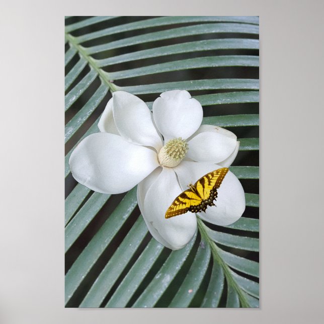 Magnolia Print, Value Poster Paper (Semi-Gloss) (Framsidan)