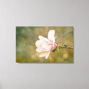 Magnolia Queen Canvastryck