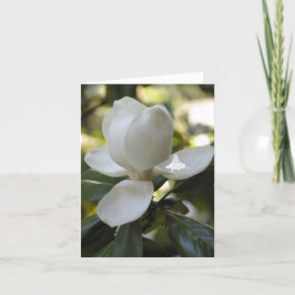 Magnolia Shadow Fairy Helgkort