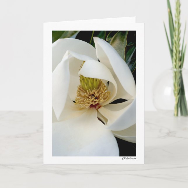 Magnolia Swirl Kort (Framsida)