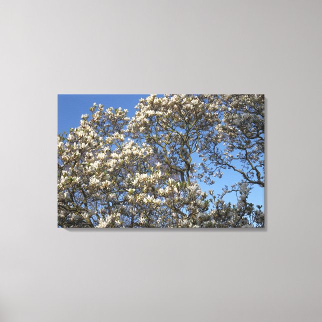 Magnolia Träd Canvastryck (Framsida)