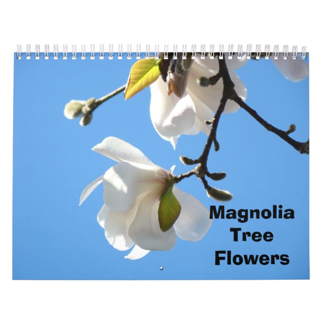 Magnolia Träd Flowers Photography Calendars Kalender (Omslag)
