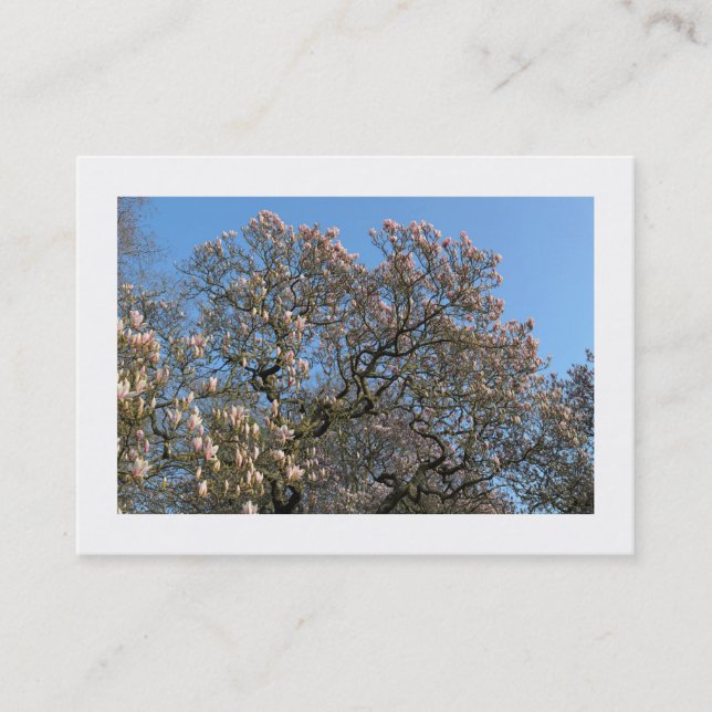 Magnolia Träd i Blommar (Borderade) Visitkort (Framsida)