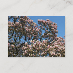 Magnolia Träd i Blommar Visitkort