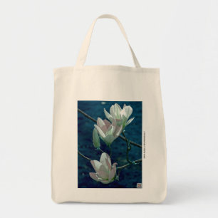 Magnolia Tygkasse