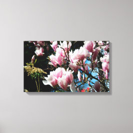 Magnolia Vår Floral Photography Canvas 6
