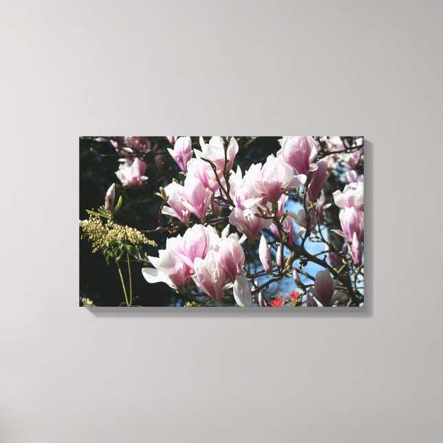 Magnolia Vår Floral Photography Canvas 6 (Framsida)