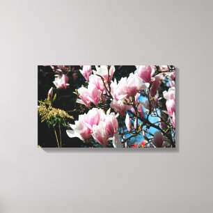 Magnolia Vår Floral Photography Canvas 6