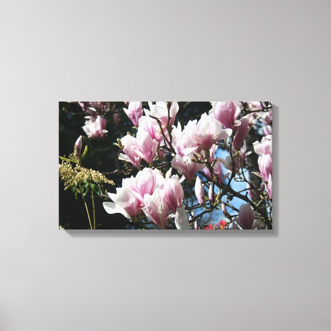 Magnolia Vår Floral Photography Canvas 6 (Framsida)
