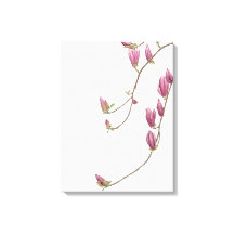 Magnolia Vine Canvas