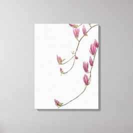 Magnolia Vine Canvas