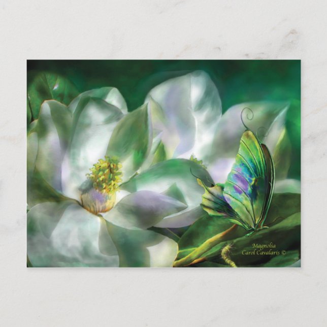 Magnolia vykort (Framsida)
