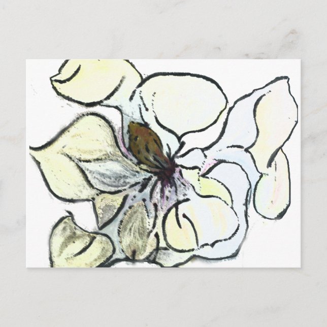 Magnolia Vykort (Framsida)