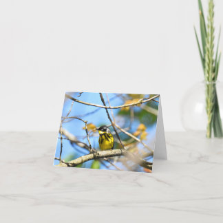 Magnolia Warbler - Tomt anteckningskort