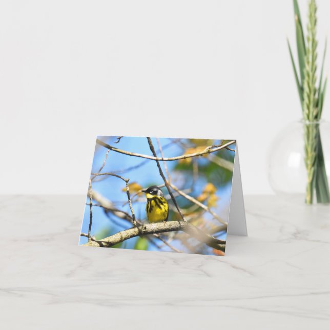 Magnolia Warbler - Tomt anteckningskort (Framsida)